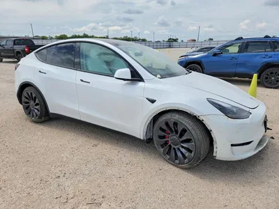 2024 TESLA MODEL Y, фото 4, лот 10646923