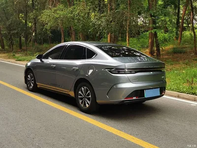 2024 BYD Destroyer 05 Glory Edition DM-i 55KM Luxury, фото 4, лот 10256380
