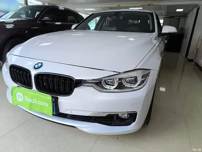 2016 BMW 3 Series 320Li Progressive, фото 2, лот 10457963
