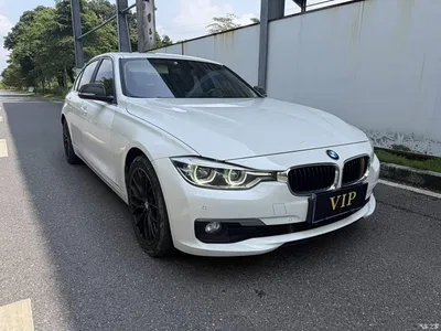 2016 BMW 3 Series 320Li Progressive, фото 3, лот 11438074