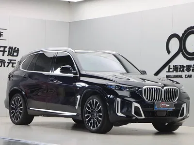 2025 BMW X5 Model xDrive 40Li Exclusive M Sport Blackout Package, фото 1, лот 10519755