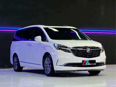 2021 Buick GL8 ES Landlord 653T Flagship, фото 3, лот 10255965