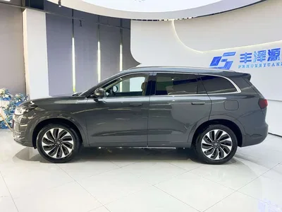 2022 AITO Wenjie AITO M7 1.5T RWD Comfort Edition, фото 3, лот 10278482