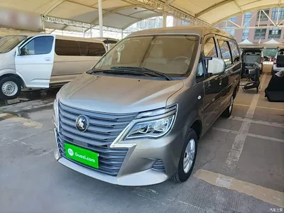 2023 Dongfeng Lingzhi M5L 1.6L Base Model 5-Seater, фото 2, лот 11158823