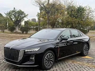 2023 Hongqi H5 2.0T Auto Smart Connect Flag Comfort, фото 1, лот 10288899