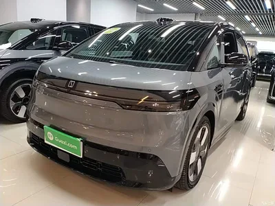 2025 ZEEKR MIX Smart Driving Edition, фото 2, лот 10592959