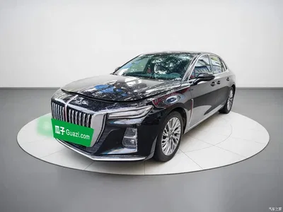 2023 Hongqi H5 2.0T Auto Smart Connect Flag Comfort, фото 1, лот 10286355