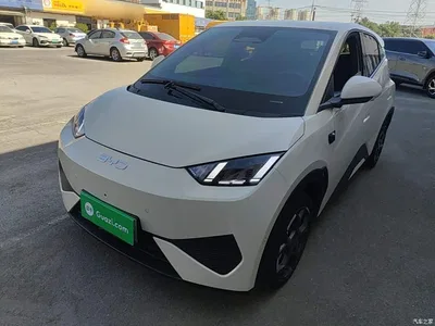 2025 BYD Seagull Smart Drive Edition 305km Freedom Version, фото 2, лот 11011759