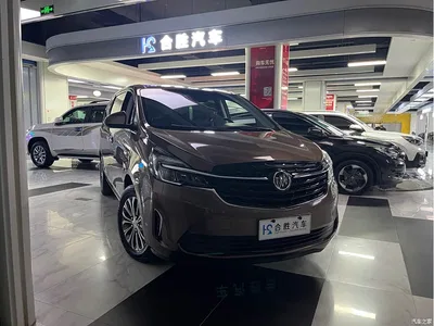 2022 Buick GL8 Land Business Class 652T Luxury, фото 3, лот 10254991
