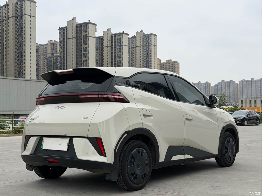 2025 BYD Seagull Smart Drive Edition 305km Vitality Version, фото 4, лот 11214449