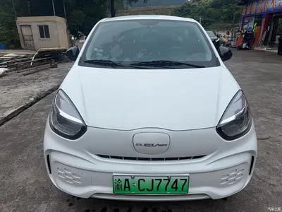 2022 Roewe Kaiwei CLEVER 311km Vitality Bobo Edition, фото 2, лот 10956762