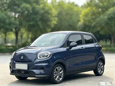 2021 Leapmotor T03 400 Micro Sugar Edition, фото 1, лот 10445161