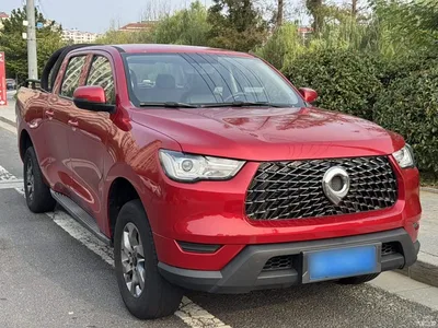 2021 Great Wall Pao 2.0T Commercial Edition Automatic Diesel 2WD Elite Long Box GW4D20M, фото 4, лот 11449165