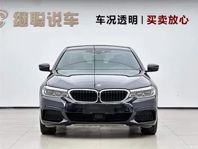 2020 BMW 5 Series Model 530Li Executive M Sport Package, фото 2, лот 10449443