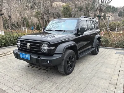 2023 Tank 300 Off-Road Edition 2.0T Conqueror, фото 3, лот 10676375