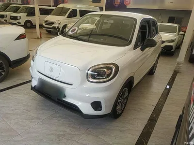 2021 Leapmotor T03 400 Lite Edition LFP, фото 1, лот 10442831