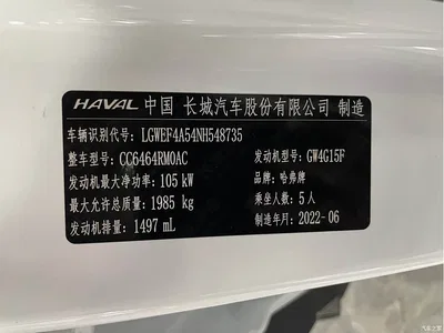 2021 Haval H6 Model National Trend Edition 1.5T Auto Champion, фото 4, лот 10300226