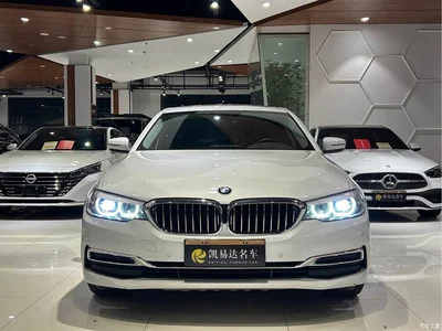 2019 BMW 5 Series Facelift 525Li Luxury Package, фото 3, лот 11016581