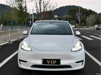 2023 Tesla Model Y Rear-Wheel Drive Edition, фото 2, лот 10395637