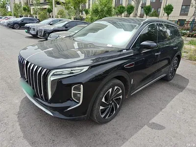 2024 Hongqi HS7 PHEV 2.0T PHEV AWD Qichang Edition 7-seater, фото 1, лот 10289881