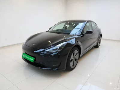 2022 Tesla Model 3 Model Rear-Wheel Drive Version, фото 1, лот 10889298