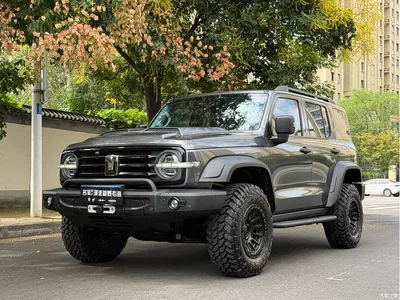 2024 Tank 300 Model 330 3.0T V6, фото 1, лот 10392246