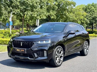 2017 WEY VV7 2.0T Flagship, фото 1, лот 10570824