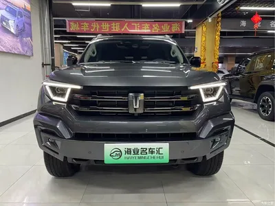 2024 Tank 400 New Energy Hi4-T Off-Road Edition, фото 2, лот 10391917