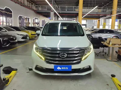 2020 GAC Trumpchi Trumpchi M8 390T Premium, фото 2, лот 11201909