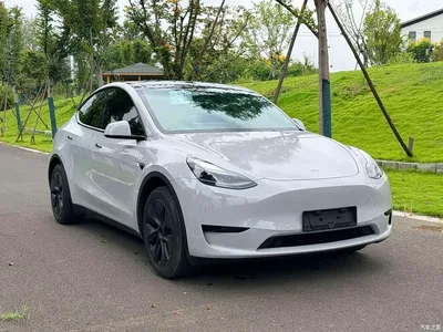2023 Tesla Model Y Rear-Wheel Drive Edition, фото 2, лот 10899675