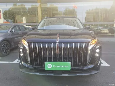 2025 Hongqi HS7 PHEV 2.0T PHEV 4WD 6-Seater Commemorative Edition, фото 3, лот 10360578