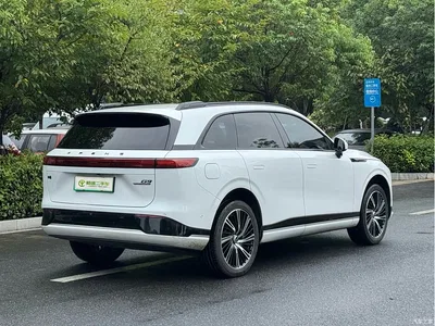 2022 XPeng G9 650 Performance Max, фото 3, лот 11203066