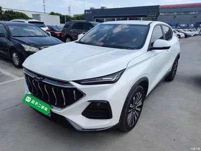 2021 Changan Oshan Changan Oushang X5 1.5T DCT Premium, фото 1, лот 11162616