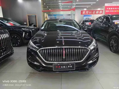 2022 Hongqi H5 Model Classic Edition 1.5T DCT Flag Joy Edition, фото 2, лот 10361049