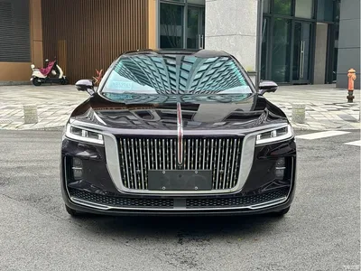 2020 Hongqi H9 3.0T Smart Connection Qi Chang Edition, фото 2, лот 10288167