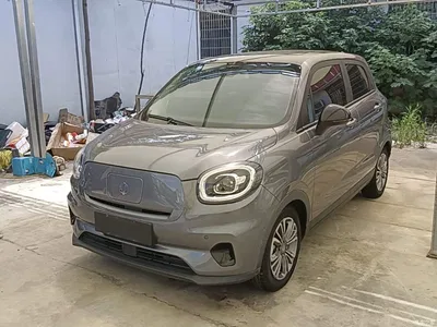 2021 Leapmotor T03 400 Luxury Pro Version, фото 1, лот 10442813