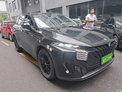 2022 Venucia Big V 260T Dark Horse Edition·Idol, фото 4, лот 11211780