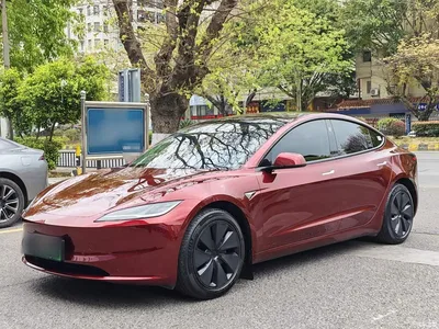 2023 Tesla Model 3 Rear-Wheel Drive, фото 2, лот 10370832