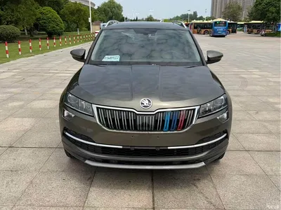 2019 Škoda Karoq TSI280 Smart Drive Luxury Edition China V, фото 3, лот 10356632