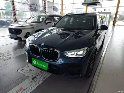 2020 BMW X3 xDrive30i Leading M Sport Package, фото 2, лот 11243988