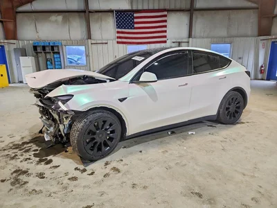 2023 TESLA MODEL Y, фото 1, лот 10851011