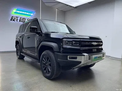 2023 Byd Leopard 5 Explorer Edition, фото 4, лот 10828757
