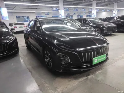 2021 Hongqi E-QM5 Charging Flag Joy Edition, фото 4, лот 10304368