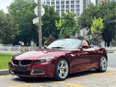 2011 BMW Z4 sDrive23i Flame Limited Edition, фото 1, лот 10477566