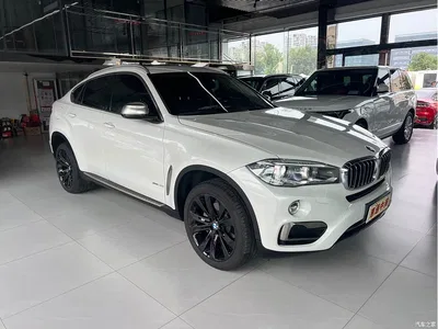 2018 BMW X6 xDrive35i Leading Model, фото 3, лот 10417514