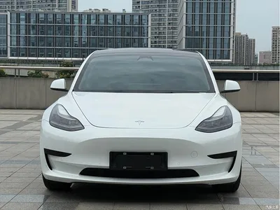 2022 Tesla Model 3 Model Rear-Wheel Drive Version, фото 2, лот 10455214