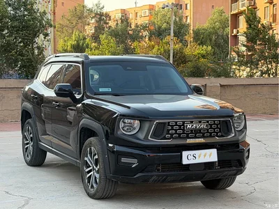 2023 Haval Da Gou 2nd Gen 1.5T 2WD Trend & Wild Edition Plus, фото 3, лот 10684187