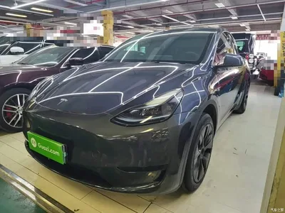 2024 Tesla Model Y Rear-Wheel Drive Version, фото 2, лот 10387209