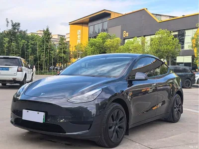 2024 Tesla Model Y Rear-Wheel Drive Version, фото 1, лот 10395376