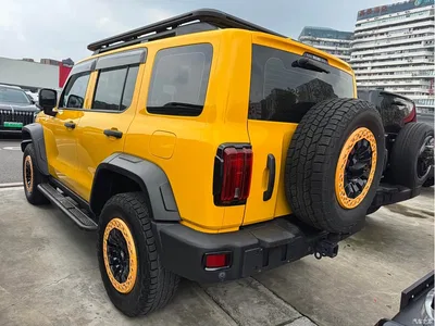 2022 Tank 300 2.0T Border Limited Edition, фото 3, лот 10345030